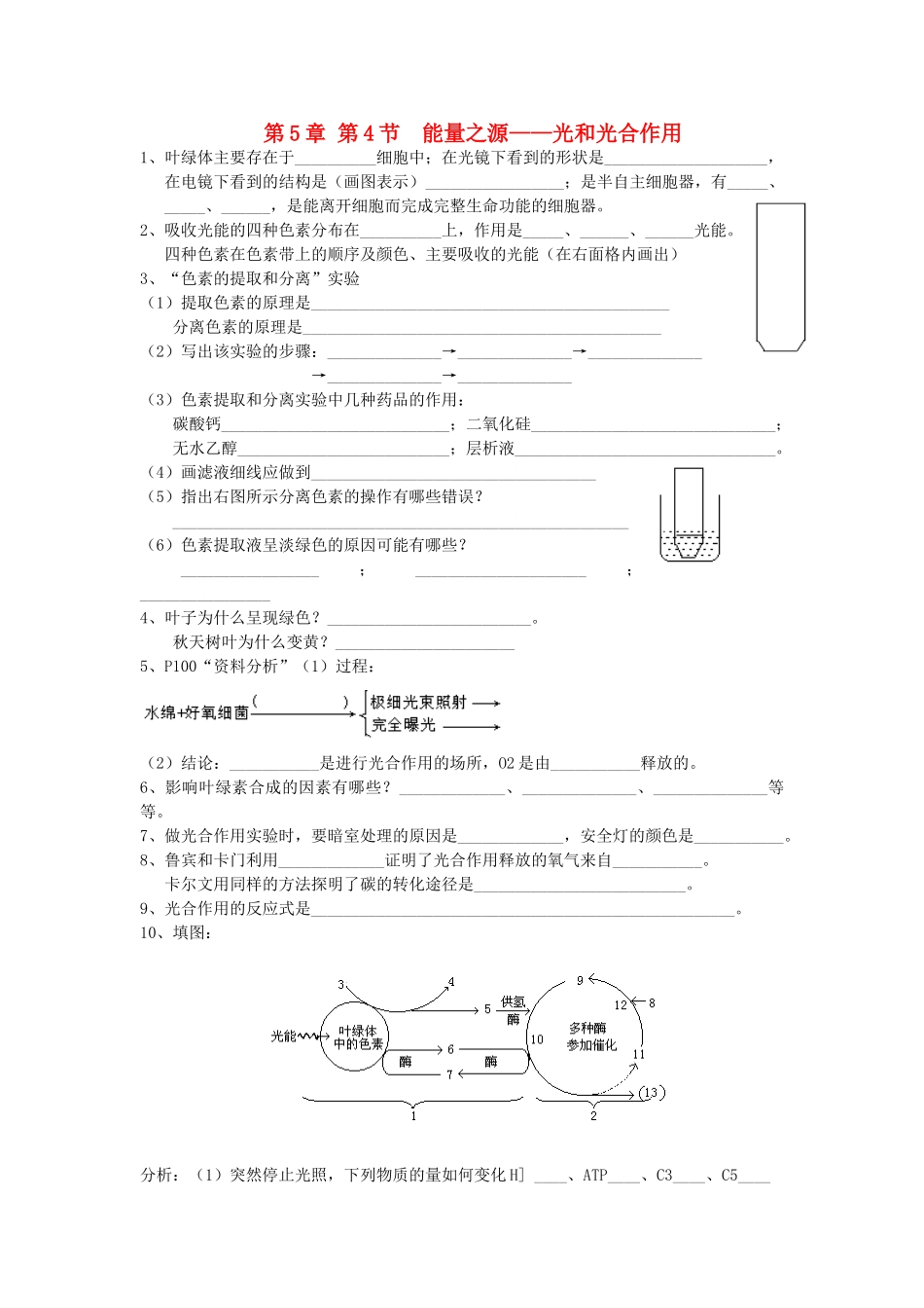 高中生物 全册复习提纲 第5章 细胞的能量供应和利用 第4节 能量之源——光和光合作用教案 新人教版必修1-新人教版高中必修1生物教案_第1页