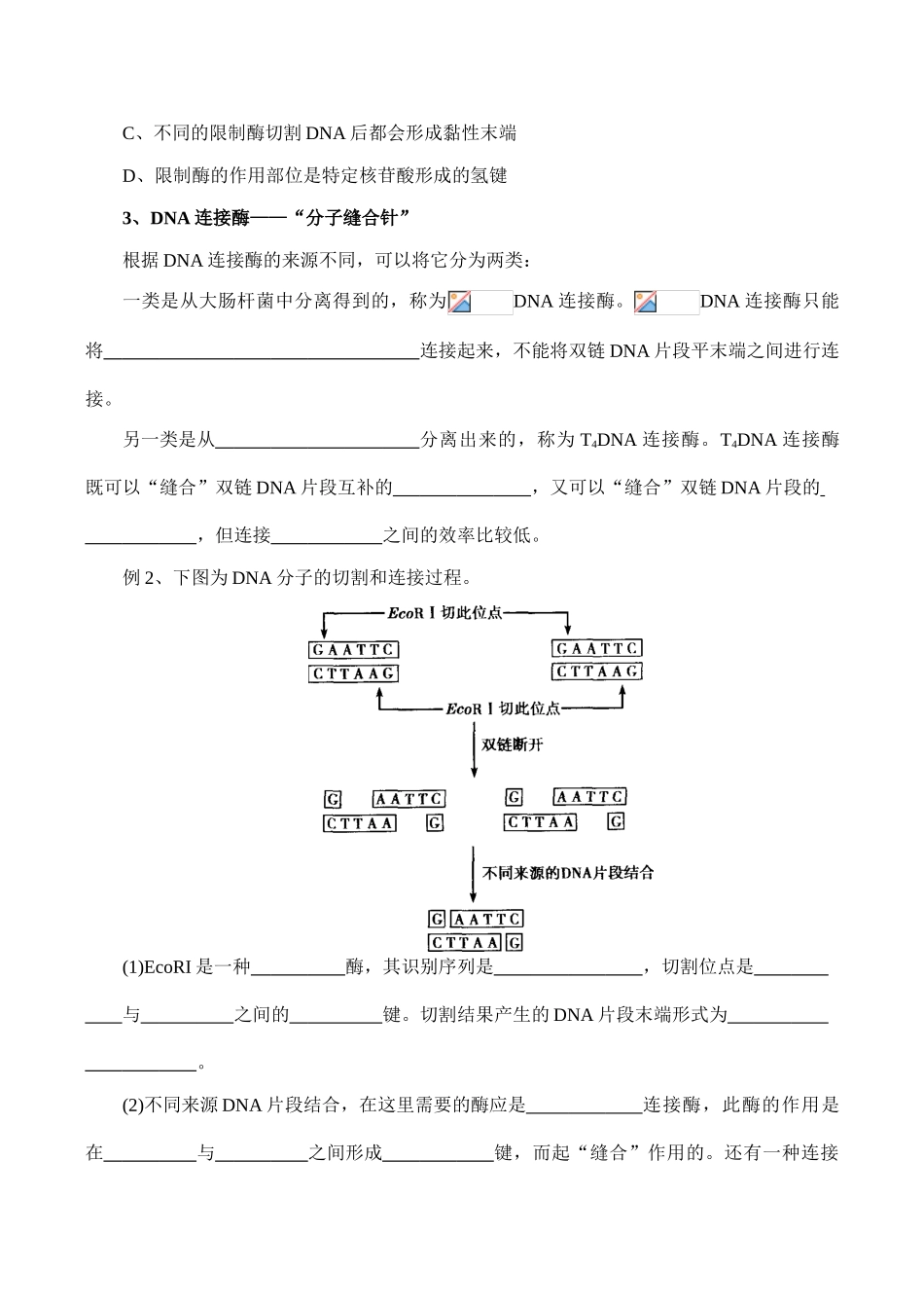高二生物选修3 DNA重组技术的基本工具_第2页