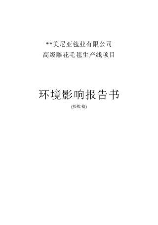 (纺织)毛毯报告书