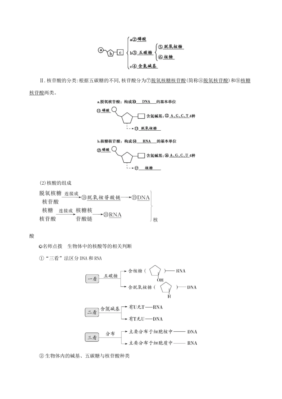 （3年高考2年模拟）新教材高考生物 第2章 组成细胞的分子 第5节 核酸是遗传信息的携带者讲义 新人教版必修1-新人教版高三必修1生物教案_第3页