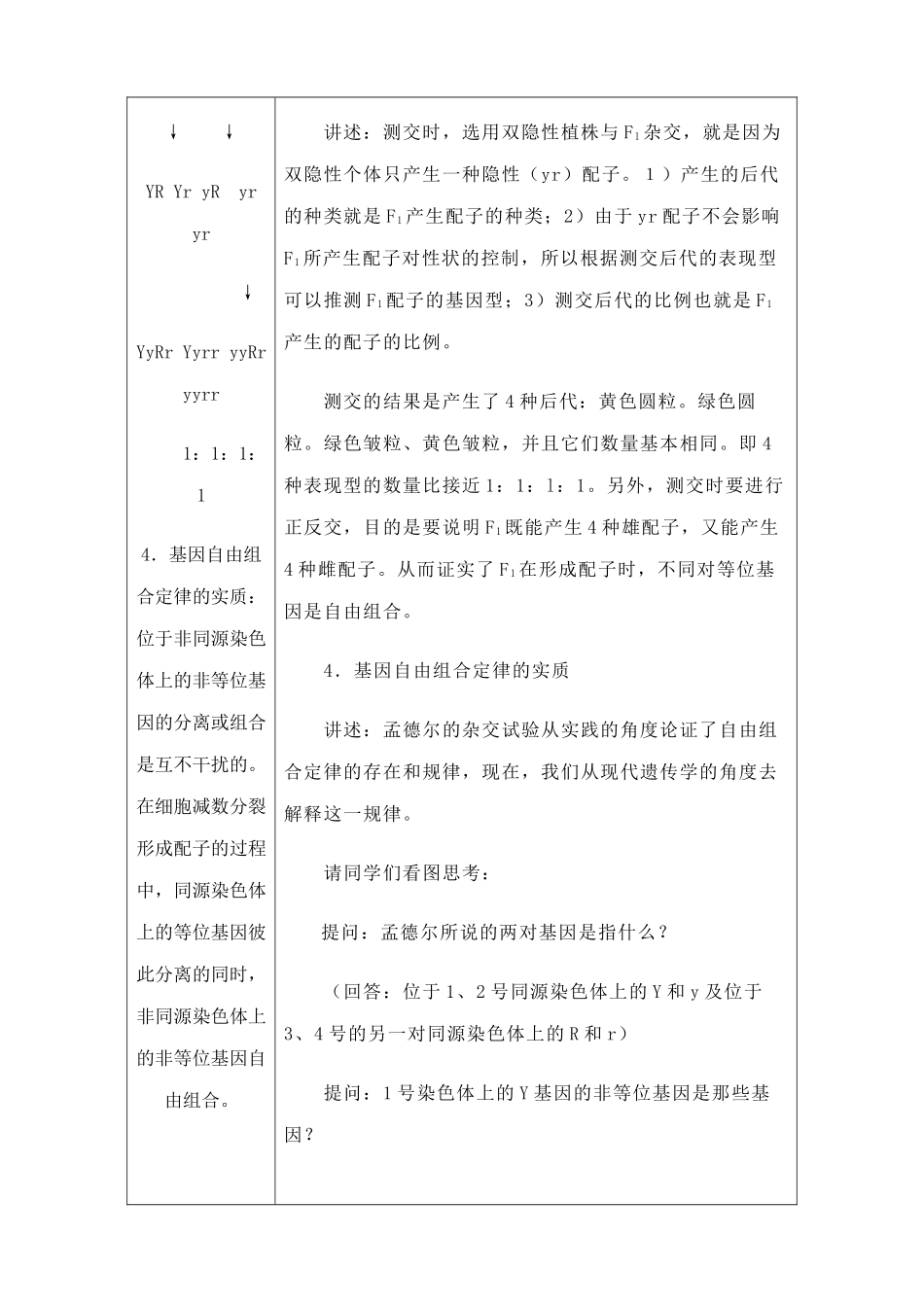高中生物遗传的基本规律--基因的自由组合定律2旧人教必修二_第2页