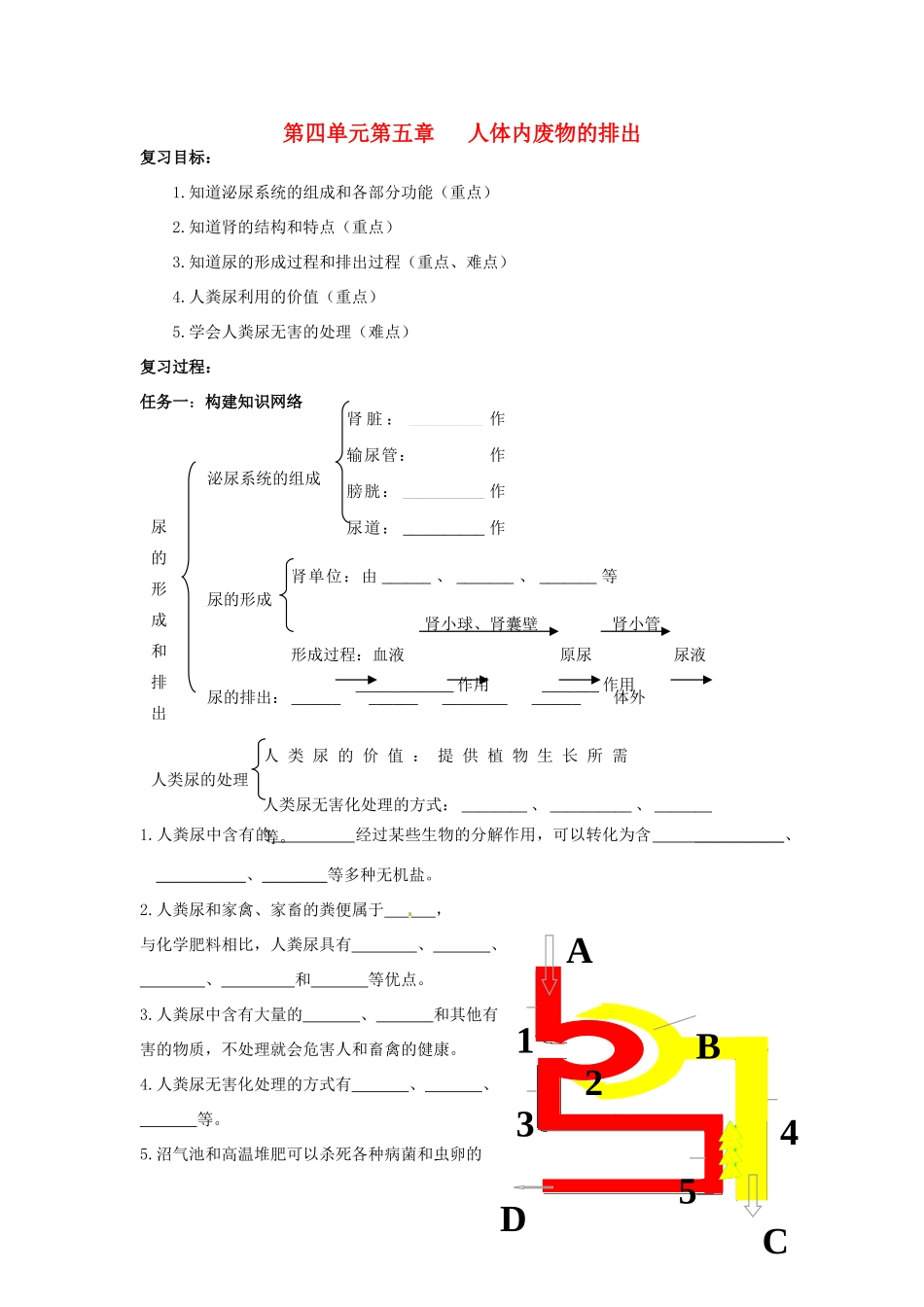 七年级生物下册 5.1《人体内废物的排出》教案 新人教版_第1页