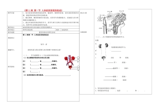 辽宁省抚顺市第二十六中学七年级生物下册《第11章 第一节 人体泌尿系统的组成》教学案 新人教版