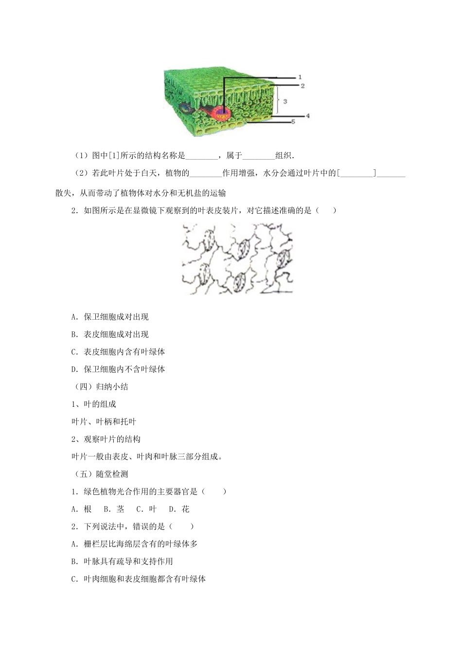 秋七年级生物上册 4.2 绿色植物的光合作用教案1 北京课改版-北京课改版初中七年级上册生物教案_第2页