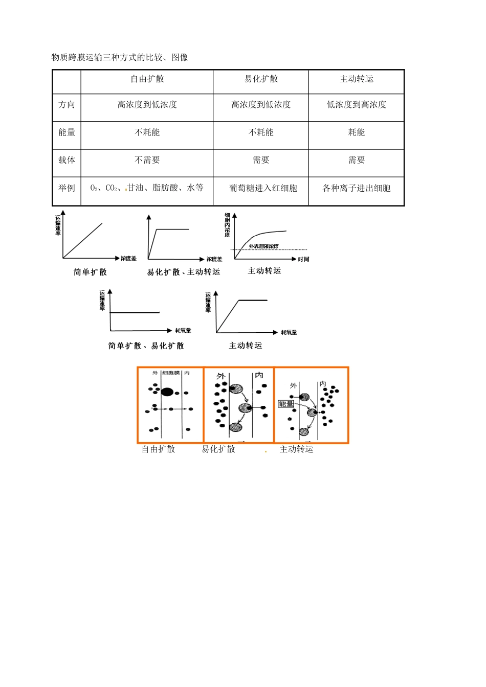 福建省建瓯二中高中生物 基础知识 第三章 细胞的代谢 第二节 物质出入细胞的方式 新人教版必修1_第3页