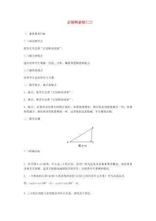 内蒙古巴彦淖尔市乌中旗二中九年级数学 《正切和余切（二）》教案