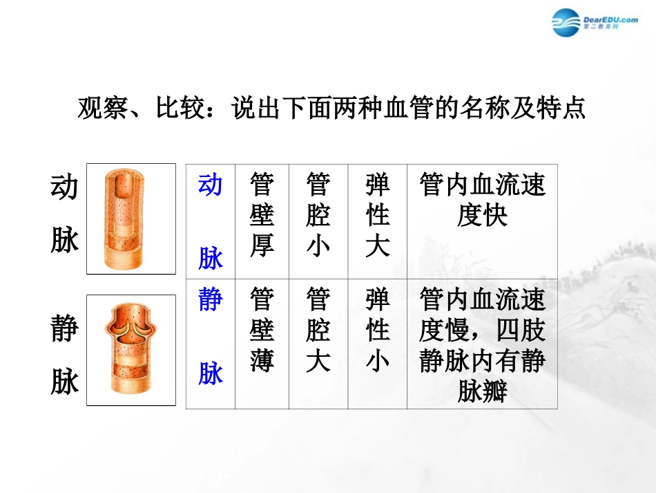 山东省临沂市蒙阴县第四中学七年级生物下册 第四单元 第四章 人体内物质的运输复习课件 （新版）新人教版_第3页