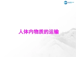 山东省临沂市蒙阴县第四中学七年级生物下册 第四单元 第四章 人体内物质的运输复习课件 （新版）新人教版