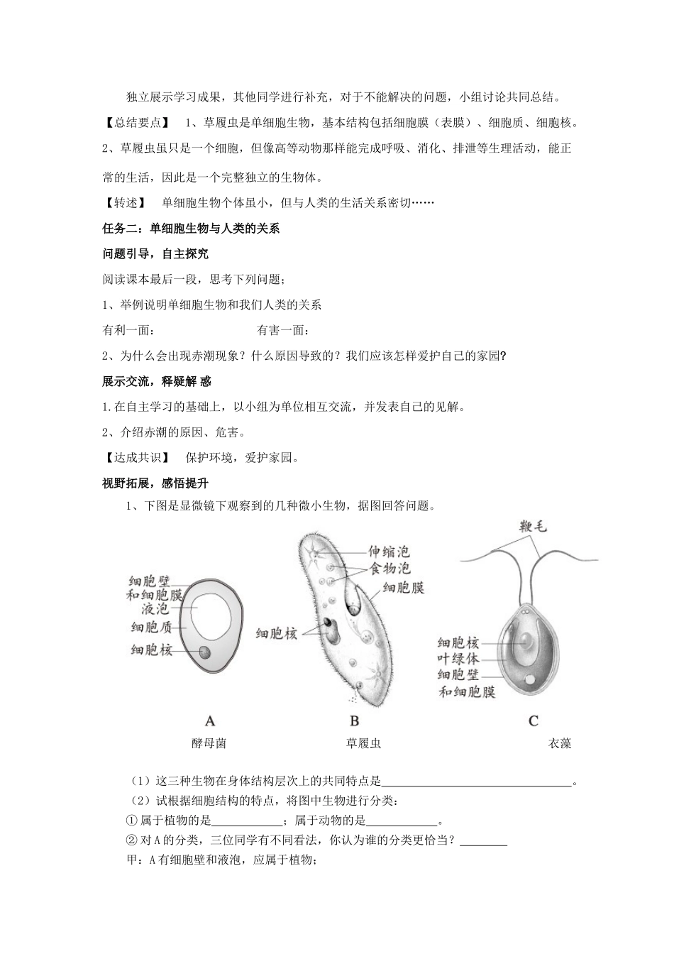 七年级生物上册 2.2.4 单细胞生物教案 （新版）新人教版_第2页