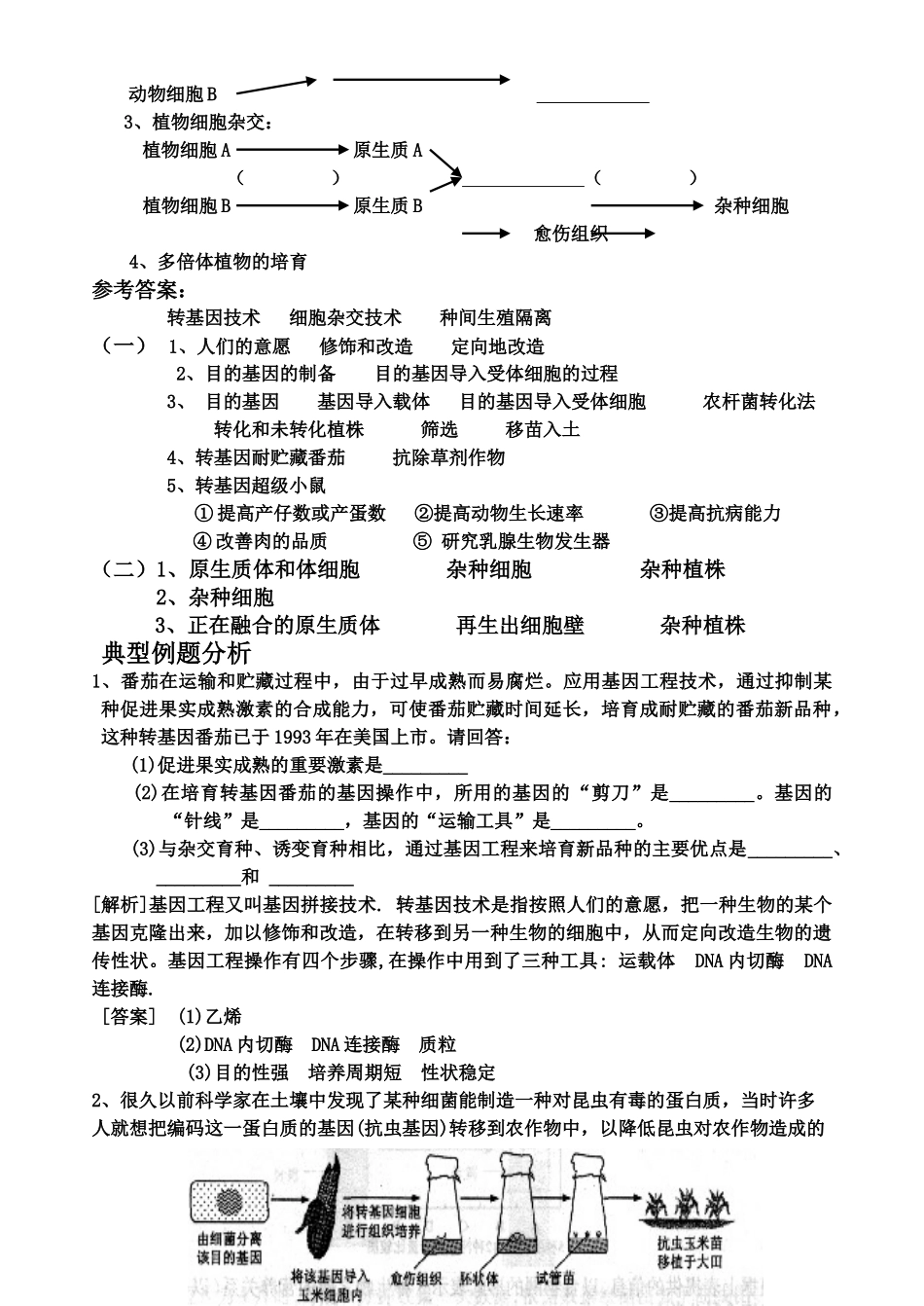 高中生物 第二节 现代生物技术在育种上的应用教案 新人教版选修2_第2页