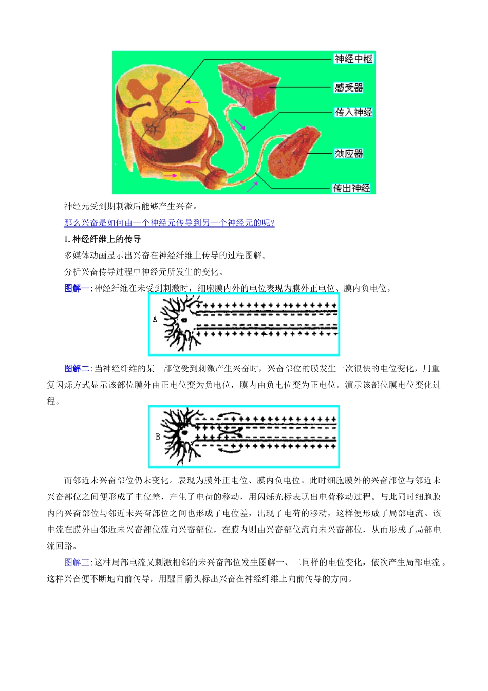 高中生物体液调节教案(第一课时)人教版 必修1_第3页
