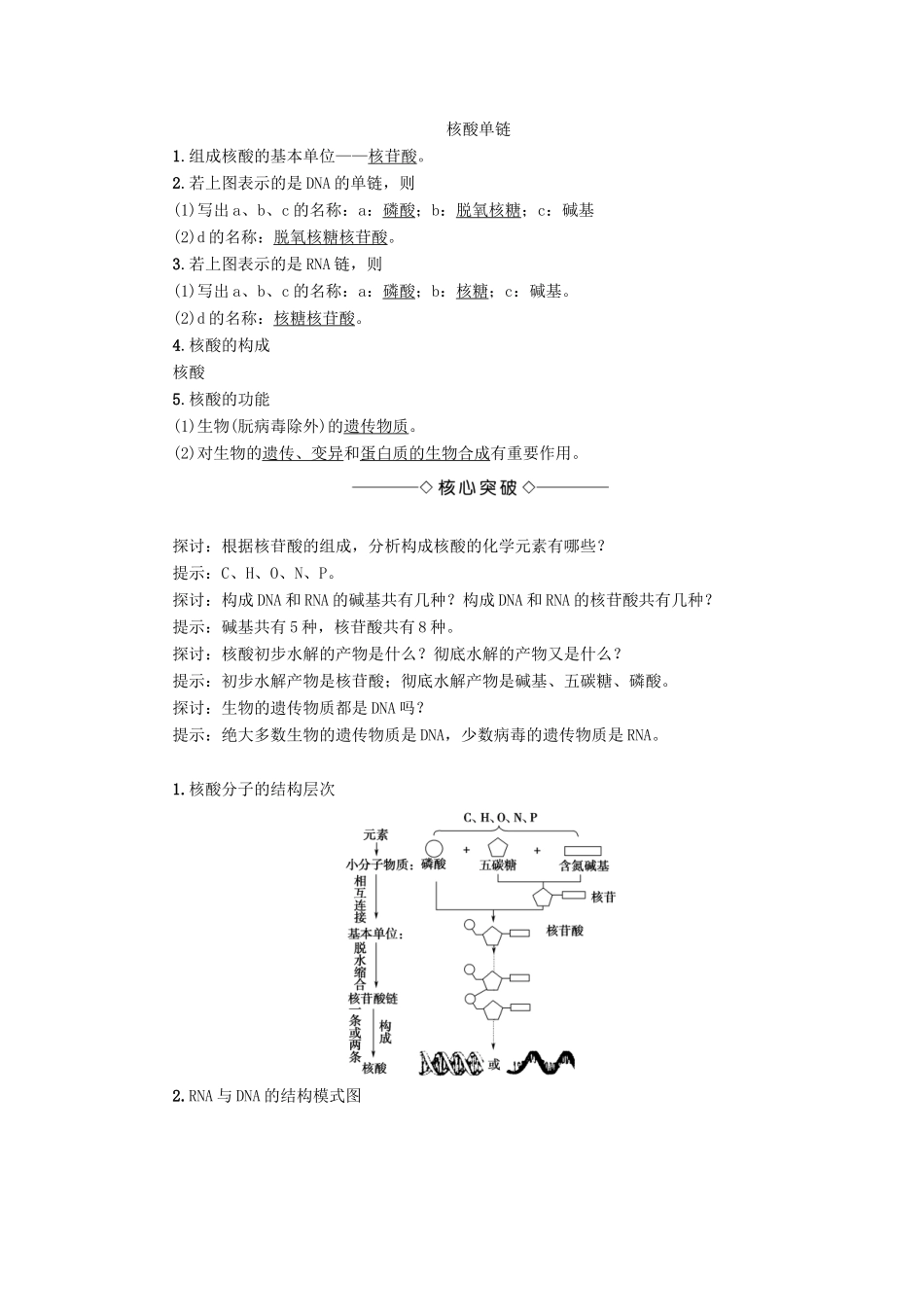 高中生物 第2单元 第2章 第1节 核酸的结构和功能教案 中图版必修1-中图版高中必修1生物教案_第3页