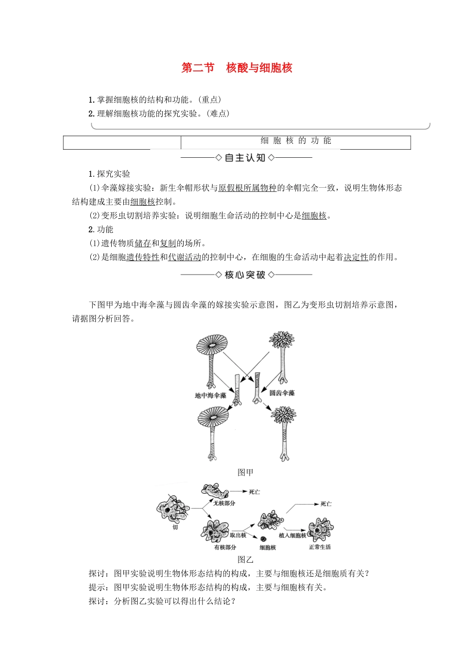 高中生物 第2单元 第2章 第2节 核酸与细胞核教案 中图版必修1-中图版高中必修1生物教案_第1页