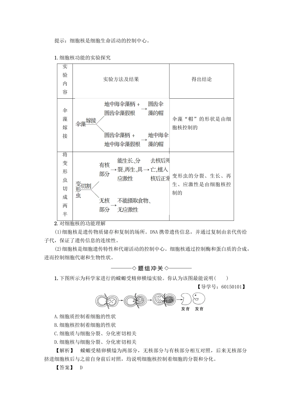 高中生物 第2单元 第2章 第2节 核酸与细胞核教案 中图版必修1-中图版高中必修1生物教案_第2页
