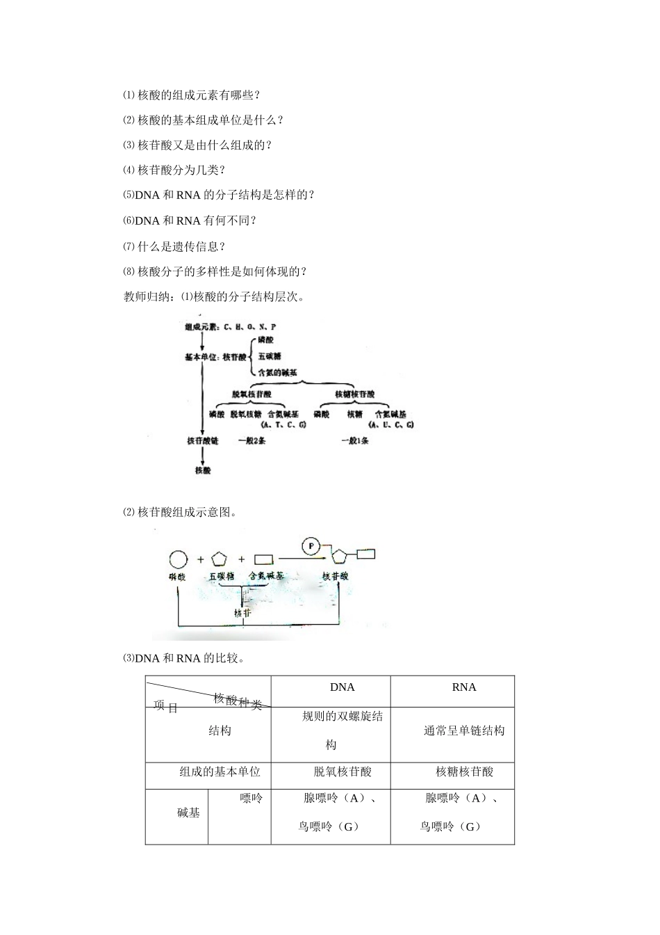 高中生物 第3节 遗传信息的携带者核酸教案 新人教版必修1_第3页