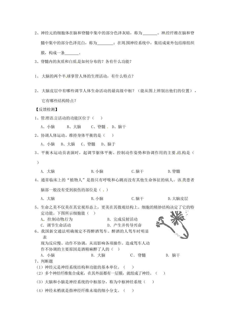 七年级生物下册《12.2 神经调节》教案1 苏教版_第2页