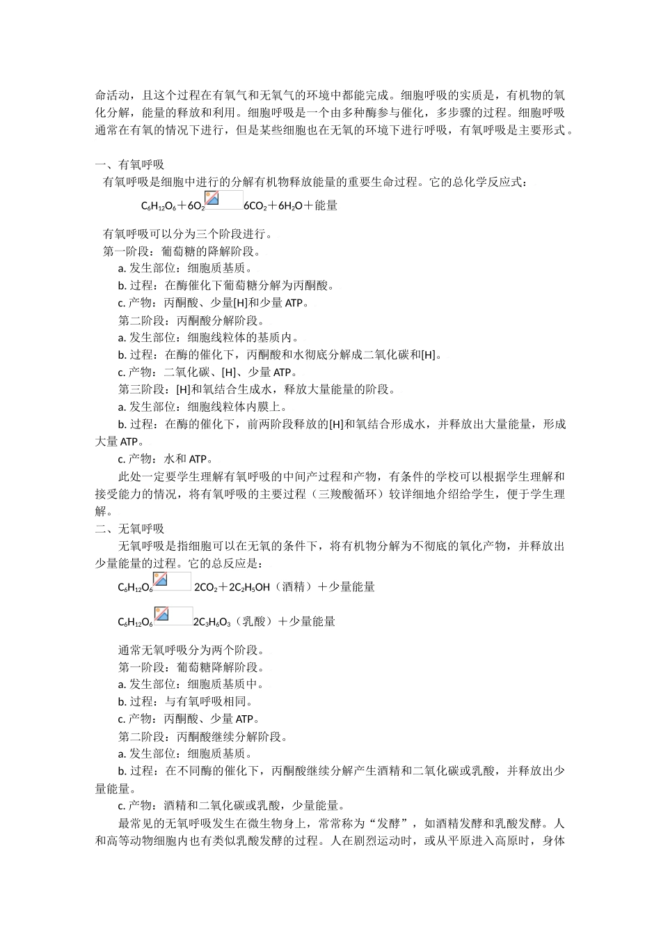 高中生物生物：5.3 《ATP的主要来源——细胞呼吸》教案新人教版必修1_第3页