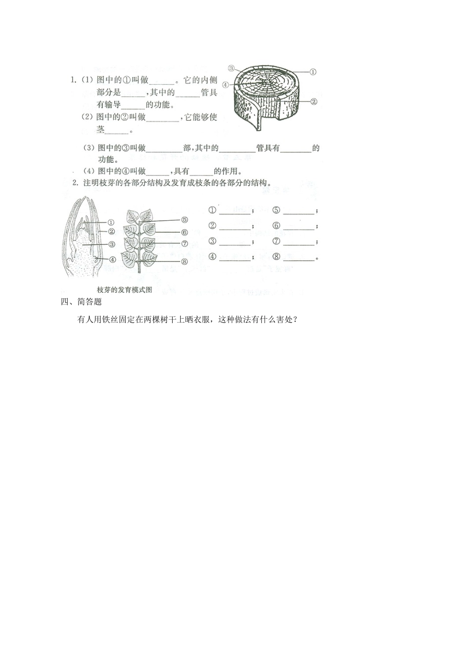 七年级生物上册 第5章 第4节 植物茎的输导功能（第2课时）教案 苏教版-苏教版初中七年级上册生物教案_第3页