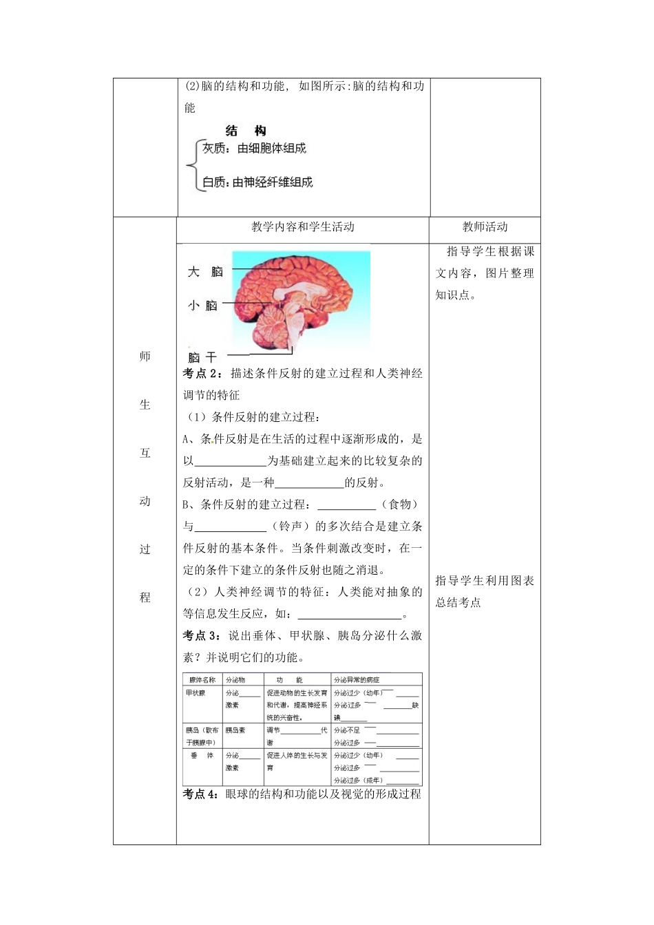 七年级生物下册 第三单元 第五章 人体生命活动的调节复习教案 （新版）济南版-（新版）济南版初中七年级下册生物教案_第2页