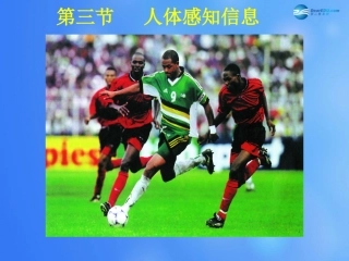 七年级生物下册 第十二章 第三节 人体感知信息课件2 （新版）苏教版