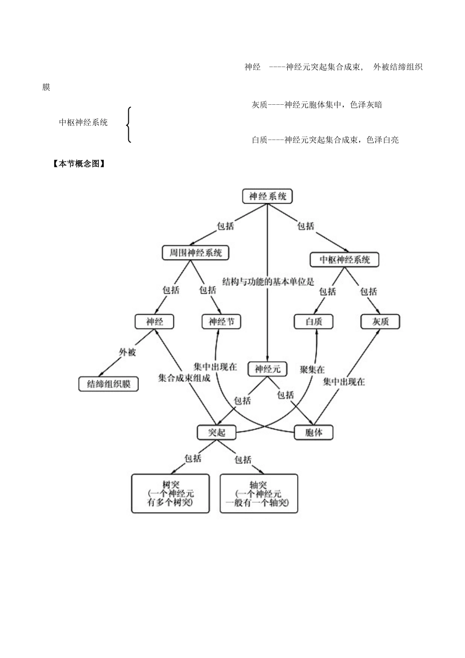 七年级生物下册 4.12.1 神经系统与神经调节教案 北师大版-北师大版初中七年级下册生物教案_第3页
