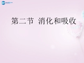 山东省泰安新泰市七年级生物下册 4.2.2 消化和吸收课件 新人教版