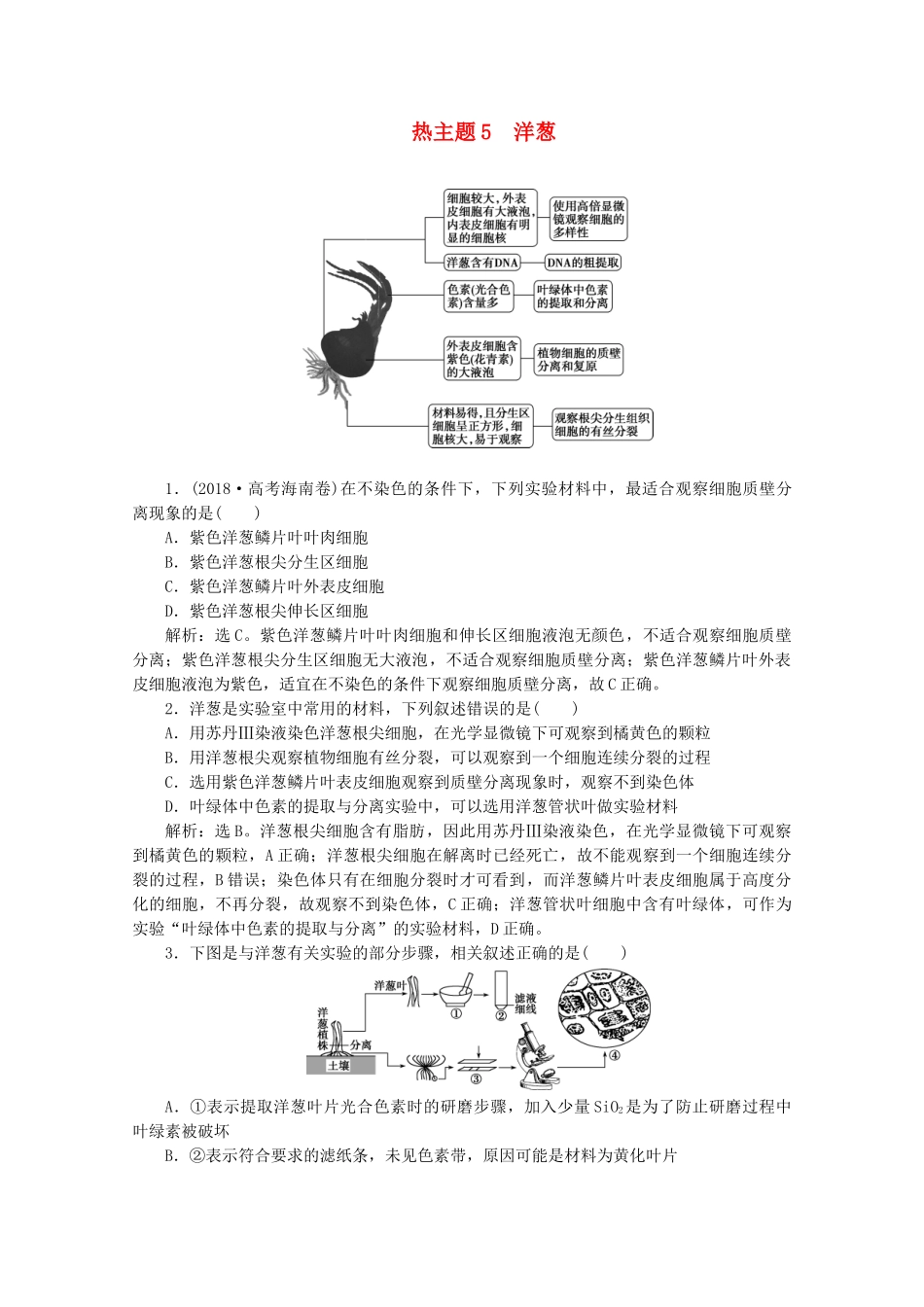 （京津鲁琼版）高考生物二轮复习 热考主题5 洋葱讲义-人教版高三全册生物教案_第1页