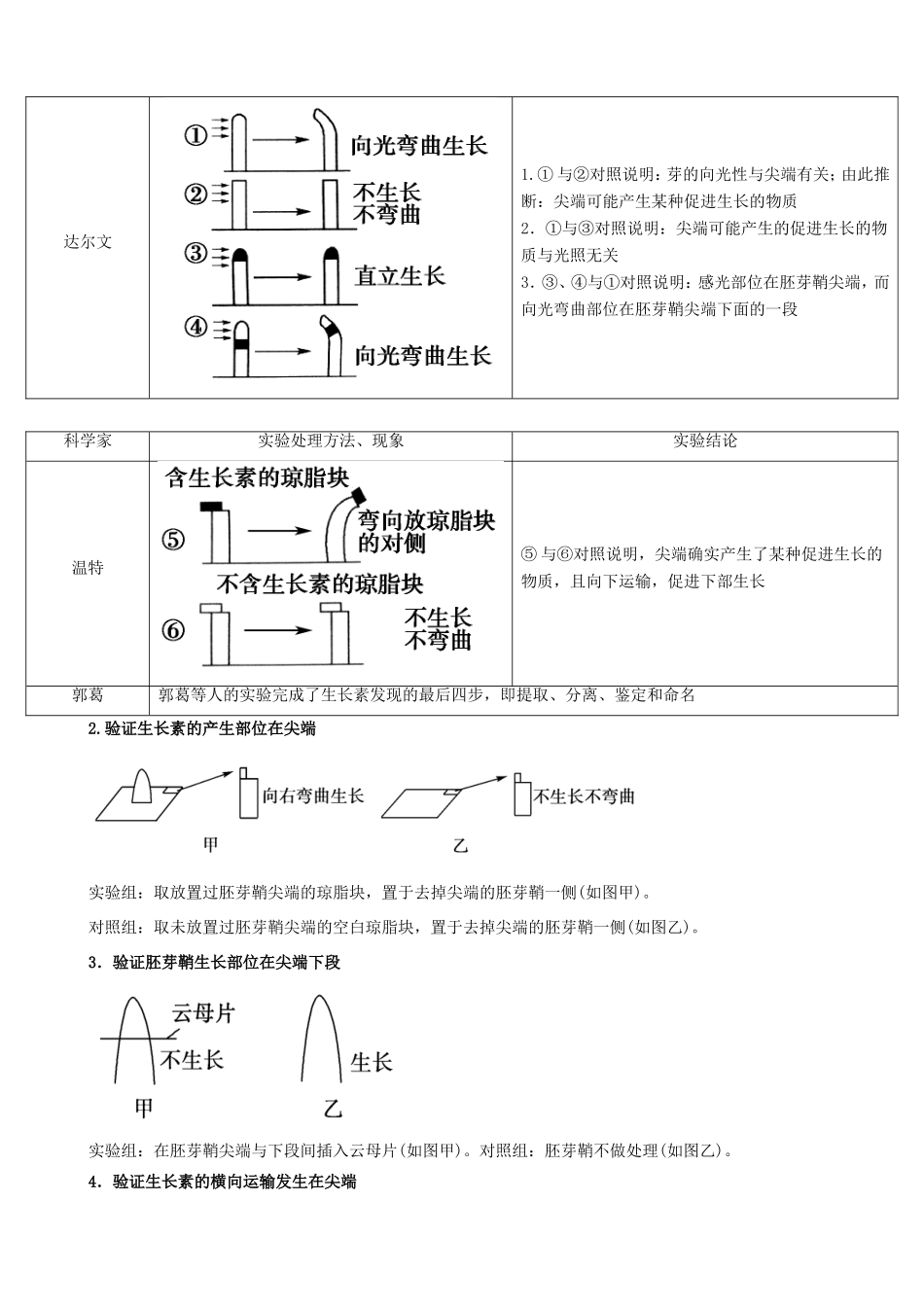 高三生物总复习 植物的激素调节教案-人教版高三全册生物教案_第3页