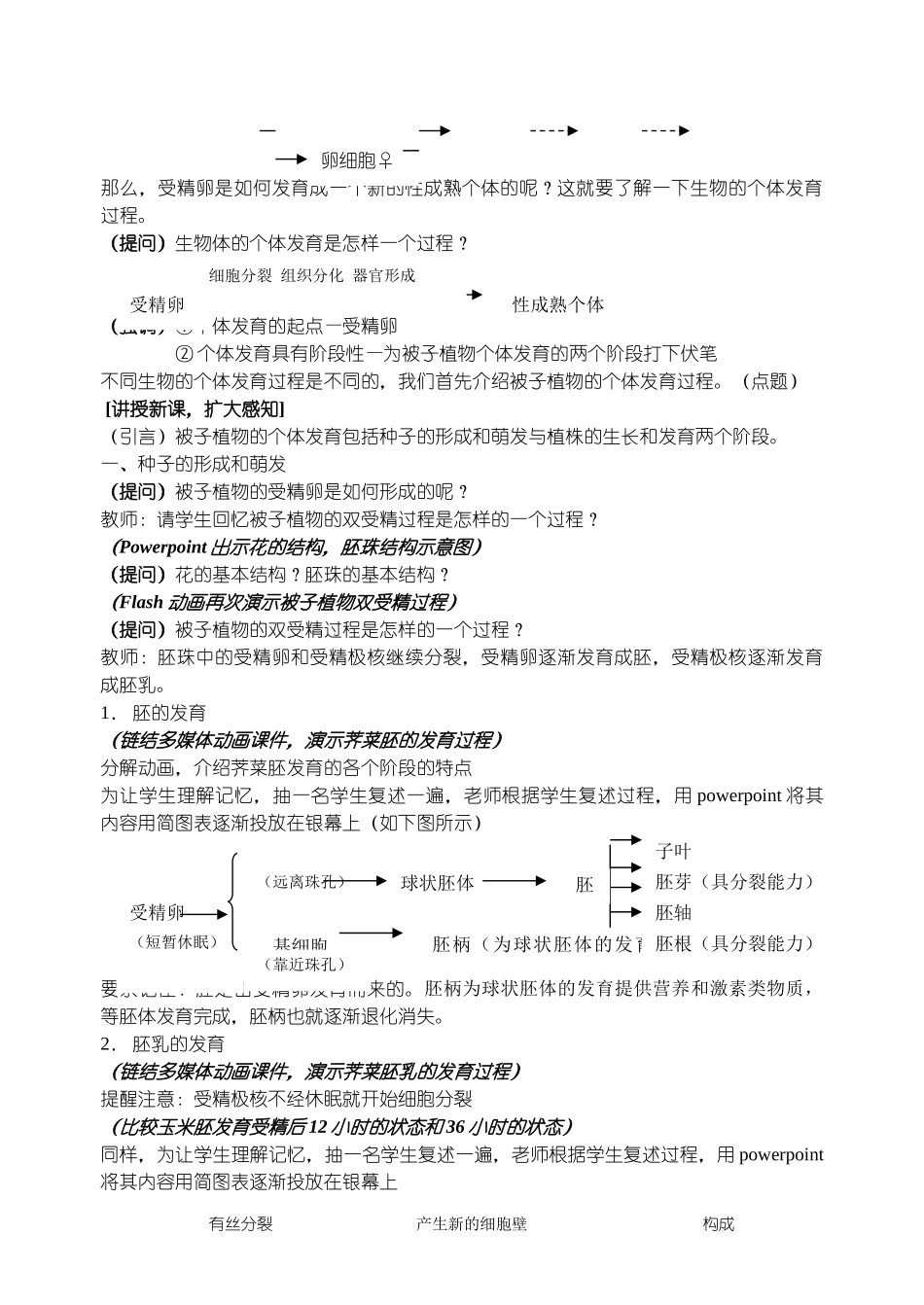 高中生物 《被子植物的个体发育》说课教案 新人教版必修1_第2页