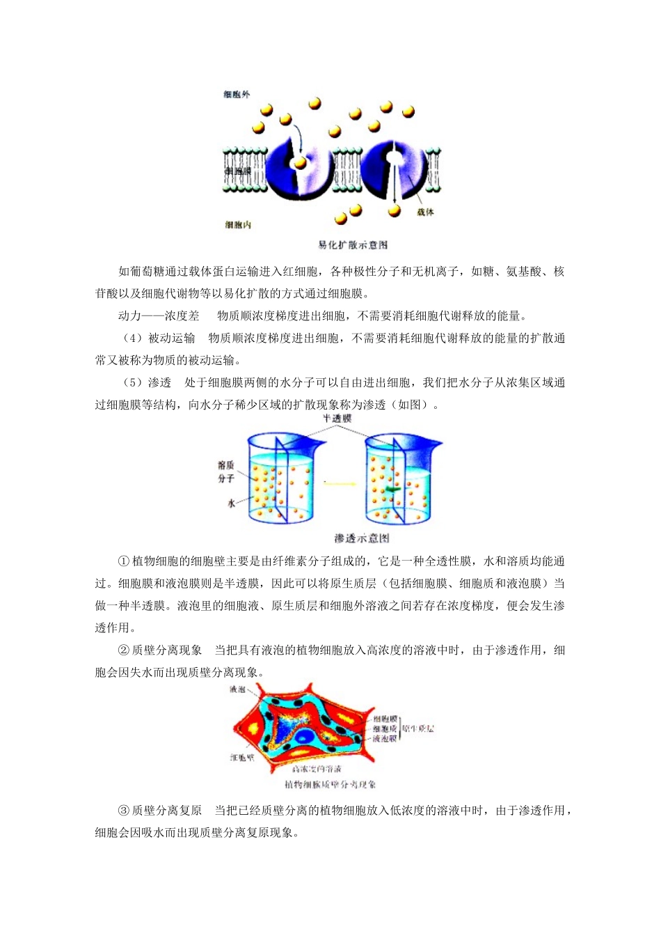 《物质的跨膜运输》教案（1）_第2页