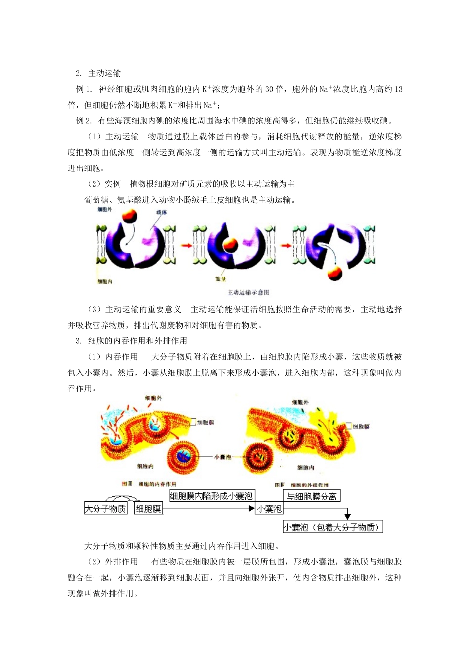 《物质的跨膜运输》教案（1）_第3页