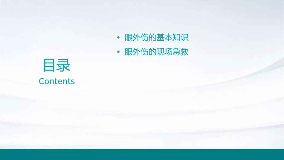眼外伤护理课件_第2页