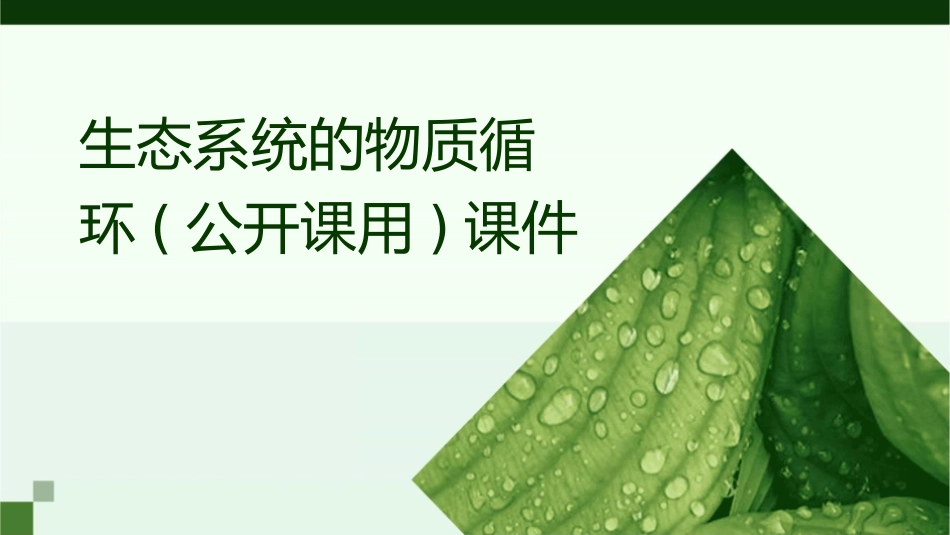 生态系统的物质循环(公开课用)课件_第1页