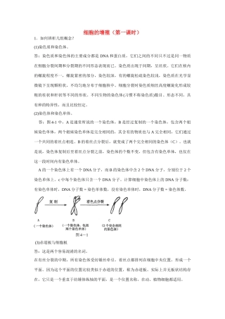 高中生物 细胞的增殖 教案2 中图版必修2