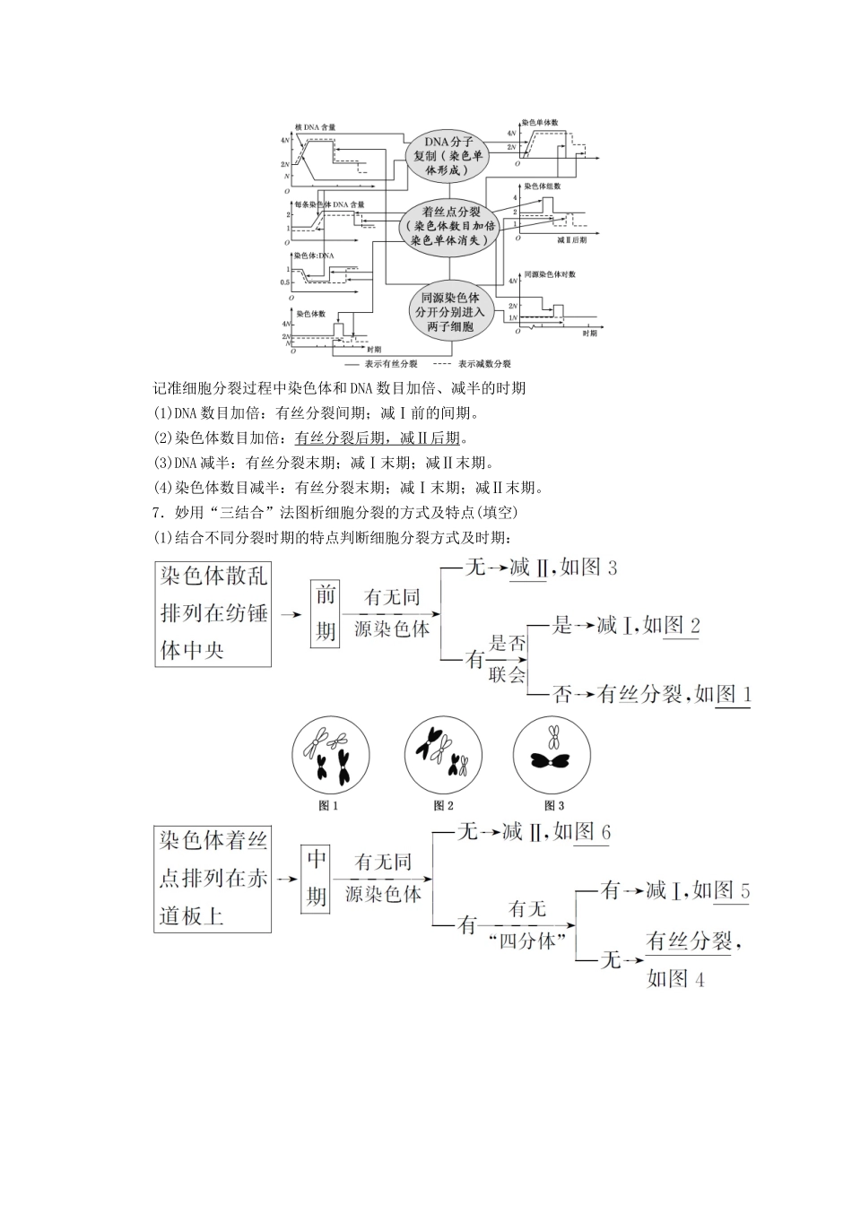高考生物二轮复习 3.1 细胞增殖和受精作用讲义-人教版高三全册生物教案_第3页