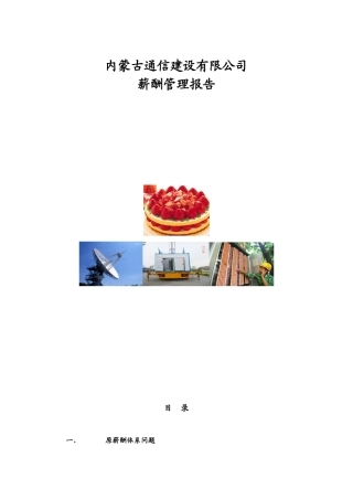 内蒙通信建设有限公司薪酬管理报告