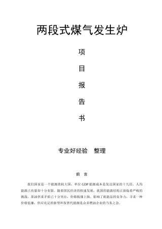 两段式煤气发生炉项目报告书
