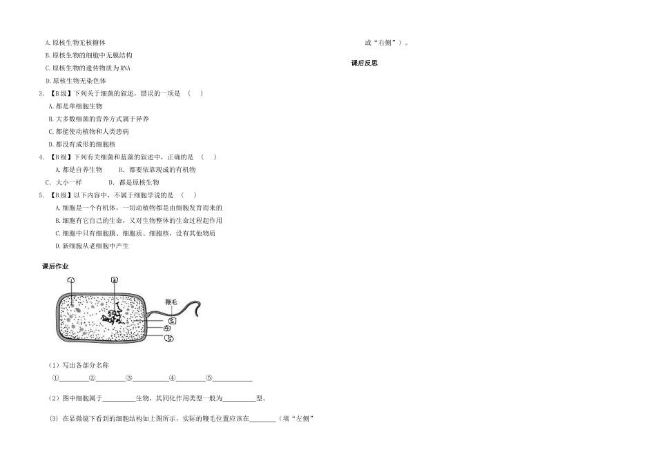 高中生物 第一章 第二节 细胞的多样性和统一性教案 新人教版必修1_第3页