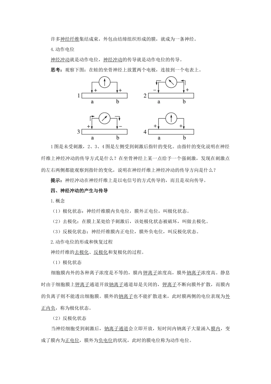 高中生物 第二节神经系统的结构与功能辅导教案 浙科版_第2页