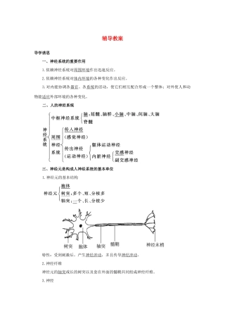 高中生物 第二节神经系统的结构与功能辅导教案 浙科版