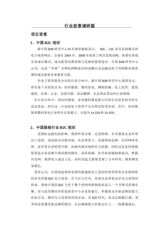 内衣品牌建设与B2C项目计划书