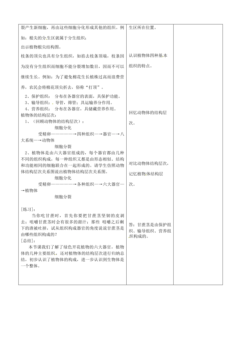 山东省郯城第三中学七年级生物上册 第三节 植物体的结构层次教案 新人教版_第3页