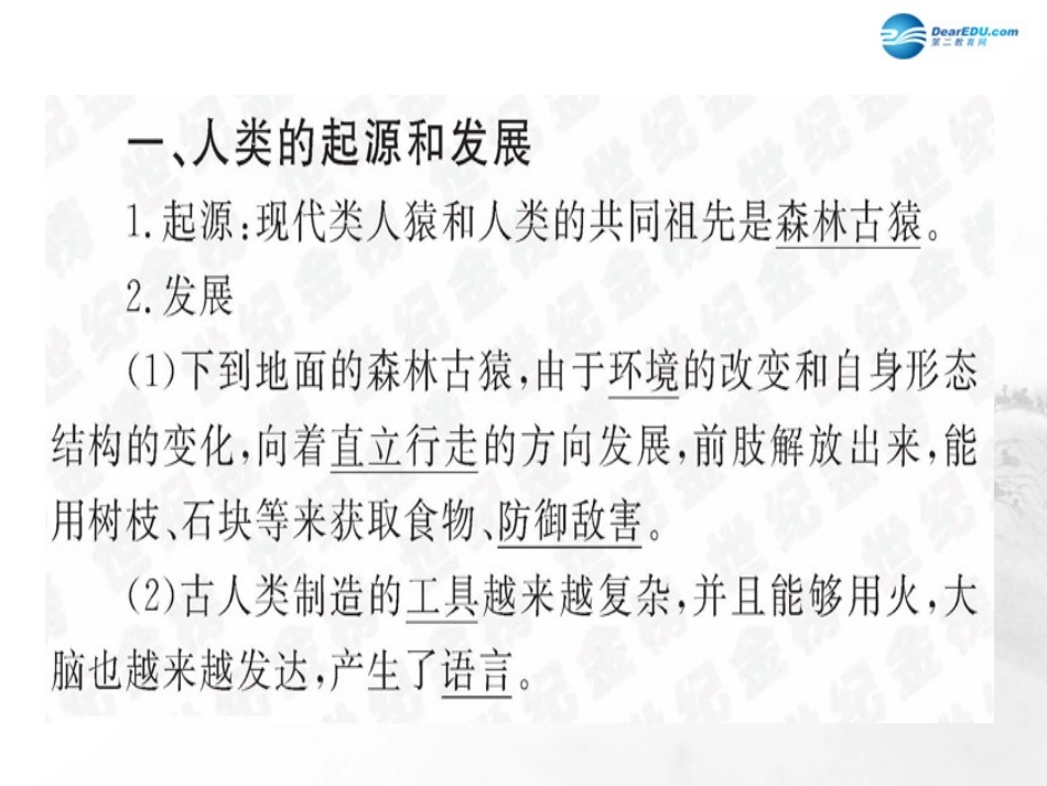 山东省临沂市蒙阴县第四中学七年级生物下册 第四单元 第一章 人的由来复习课件 （新版）新人教版_第3页