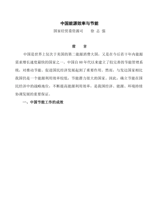 中国能源问题现状与展望—能源利用效率分析