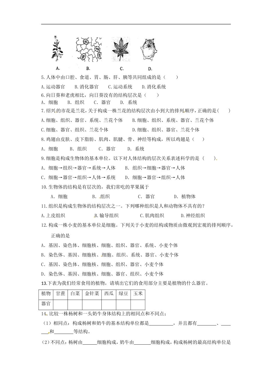 七年级生物下册第8章 生物体有相似的结构层次（教案）苏科版_第3页