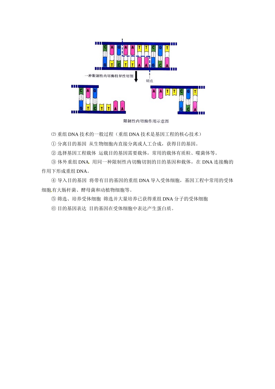 高中生物：51《基因突变和基因重组》教案（1）（新人教版必修2）_第2页