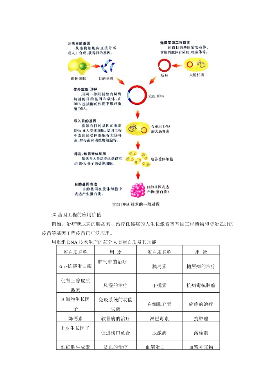 高中生物：51《基因突变和基因重组》教案（1）（新人教版必修2）_第3页