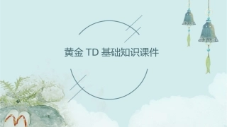 黄金TD基础知识课件