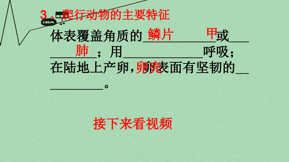 七年级生物上册 1.4.8  鸟类课件 （新版）冀教版_第3页