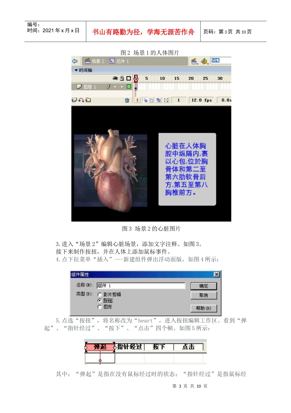 Flash按钮组件在医学课件中的应用-按钮动画在医学教育_第3页